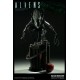 Alien Warrior Maquette - Aliens